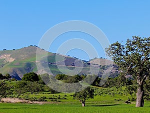 Mountains meadows