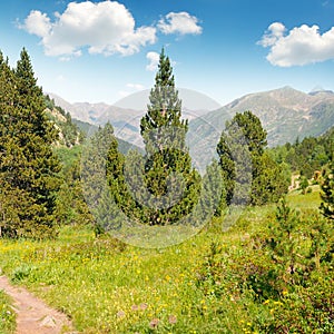 mountains, meadows and blue sky