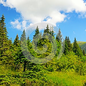 mountains, meadows and blue sky