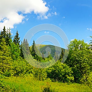 mountains, meadows and blue sky