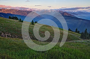 Mountains and meadows at sunset, Olympic National