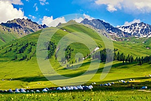 The mountains and mongolia yurts in summer grassland