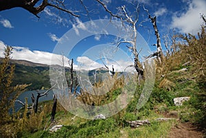 Mountains of Nahuel Huapi, Argentina photo