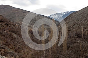 Mountains near Mashhad photo