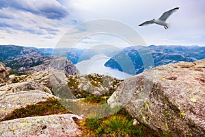 Mountains near the Preachers Pulpit Rock in fjord Lysefjord