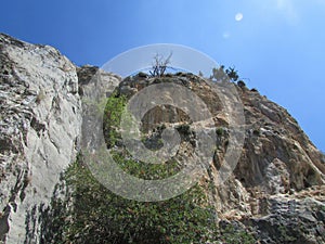 Mountains of northern Cyprus. Trees growing on the rocks.