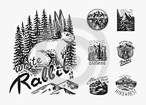 Mountains peaks. Forest Trees and tent and sun. Nature landscape with fir trees. Camping logolabel. Adventure. Badge on