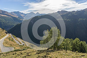 Mountains, peaks and trees landscape, natural environment. Timmelsjoch High Alpine Road