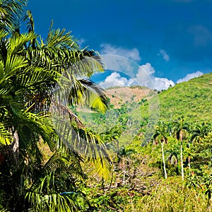 Mountains in Pinar del Rio , Cuba