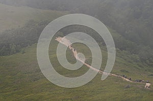 Mountains in Poland - Bieszczady