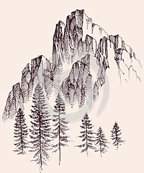 Mountains ranges, pine trees forest drawing