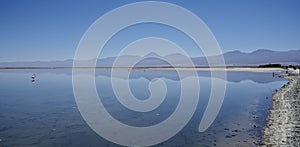 Mountains reflected in the flamingo filled lagoon at Los Flamencos National Reserve, Chile.