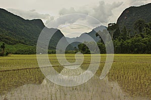 Mountains reflecting in rice paddies in Muang Ngoi, Laos photo