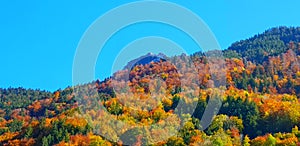 Mountains relief under the blue sky with autumn vegetation.