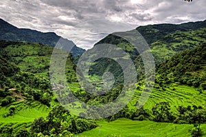 Mountains And Rice Plantations In The Annapurna