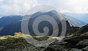 Summer landscape in the mountains