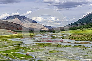 Mountains river valley flowers summer