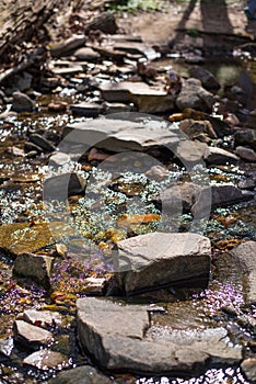 Mountains, Rivers, Rocks, Trees