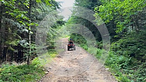 Mountains road with quad bikes on driving down the path in summer forest. Tourist on an ATV against the backdrop of