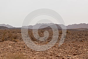 Mountains, rocks and hills of Judean desert in Israel, Middle East landmarks of Old Testament Bible times. Aerial view