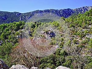 Mountains and rocks Sierra de Tramuntana near the monastery Lluch Majorca