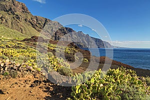 Mountains and sea near Punto Teno Lighthouse in north-west coast of Tenerife photo