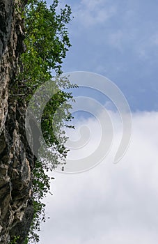 Mountains with small trees, on cloudy sky background.