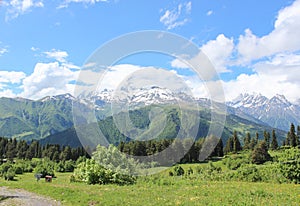 Mountains snow snow capped top freedom nature beauty freshness cold forest