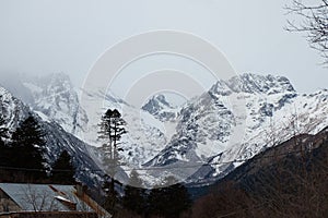 mountains in snow, winter mountain landscape, gloomy sky and fog, coniferous forest in foreground