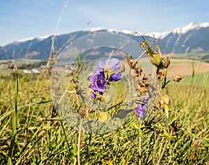 Hory so zasneženými vrcholkami v slnečnom svetle na jeseň. Vysoké Tatry Slovensko. Koncept ekologického a aktívneho cestovného ruchu. jeseň