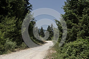 In the mountains of South Pindus, Greece on a summer day