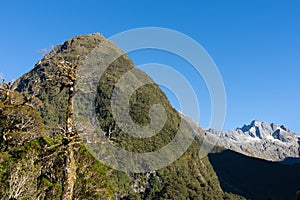 Mountains of Southern Alps in Fiordland along Hollyford Valley rise over land