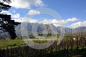 Mountains of Stellenbosch photo