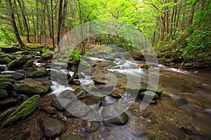 Mountains stream in spring color