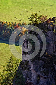 Mountains in the Sulov rocks Nature Reserves with sheeps in the autumn in Slovakia, Europe