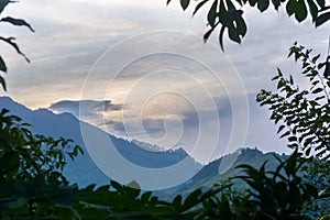 mountains and sunset sky view through tree leaves