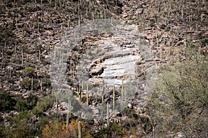 The mountains that surround Sabino Canyon