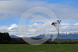 Mountains at Te Anau Lake New Zealand