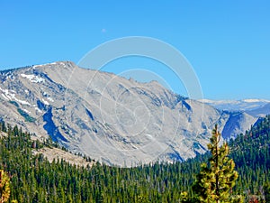 Mountains in Tioga Pass YNP photo