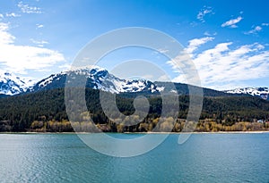 Mountains and trees along the coast of Alaska