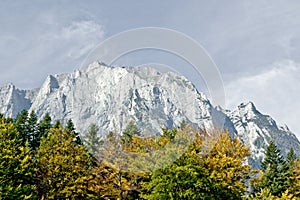 Mountains and trees in autumn light