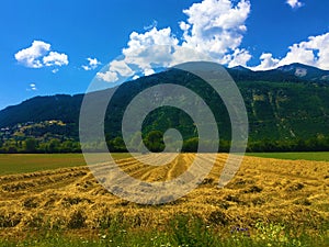 Mountains, trees and clouds