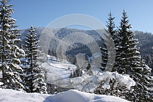 Mountains and trees covered in snow