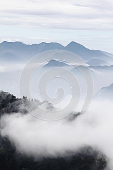 Mountains with trees and fog in monochrome color