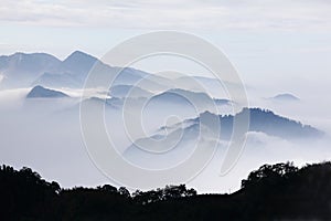 Mountains with trees and fog in monochrome color