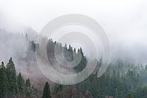 Mountains and trees Landscape of Gassho-zukuri Village, Japan