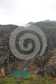 Mountains trees mist
