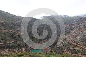 Mountains trees mist