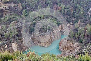 Mountains trees mist