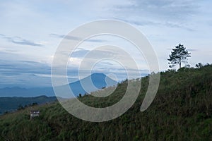 mountains and trees in the morning